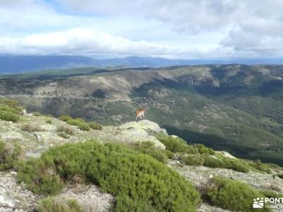 II Kilómetro Vertical - Pico de la Najarra y Perdiguera; batuecas sierra de francia mochila aventura